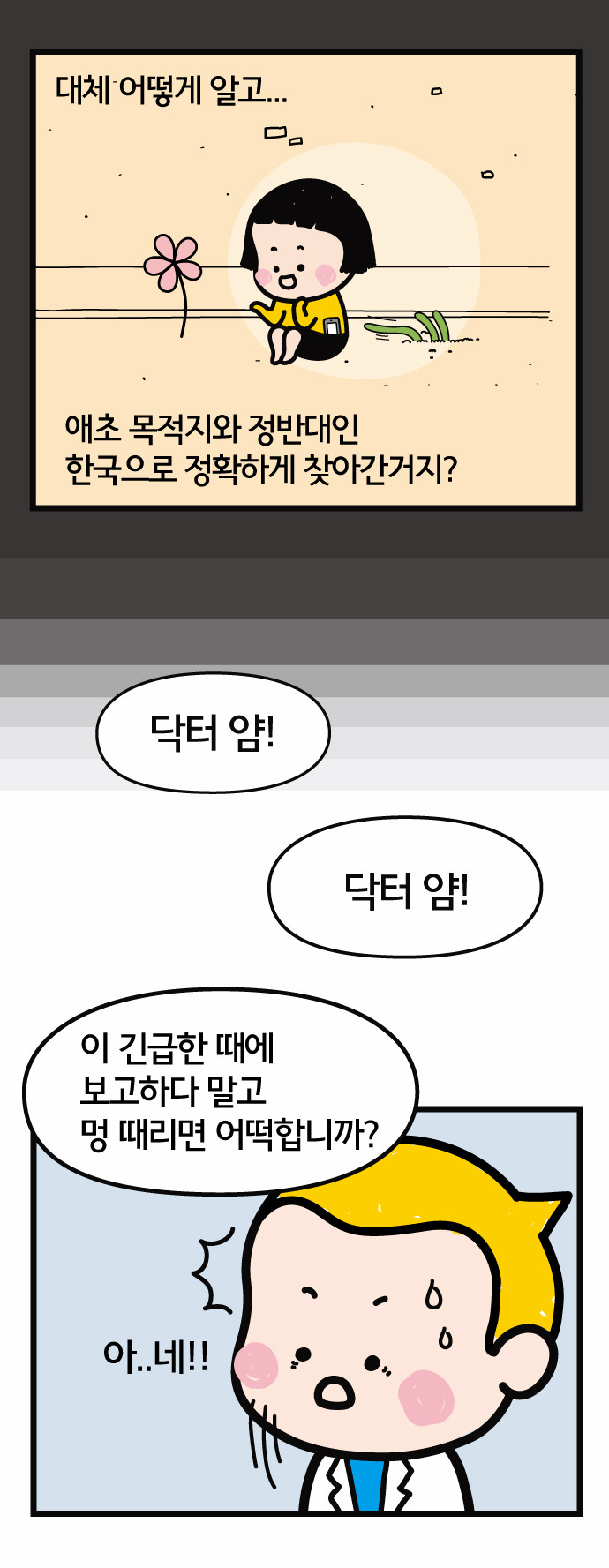 13 페이지