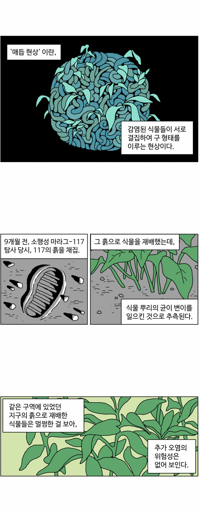 10 페이지