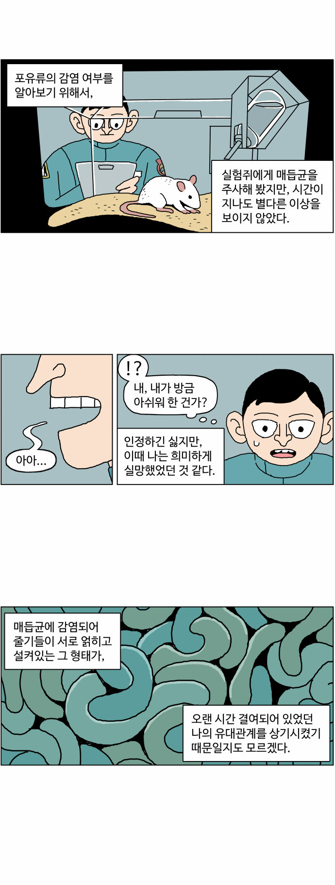 11 페이지