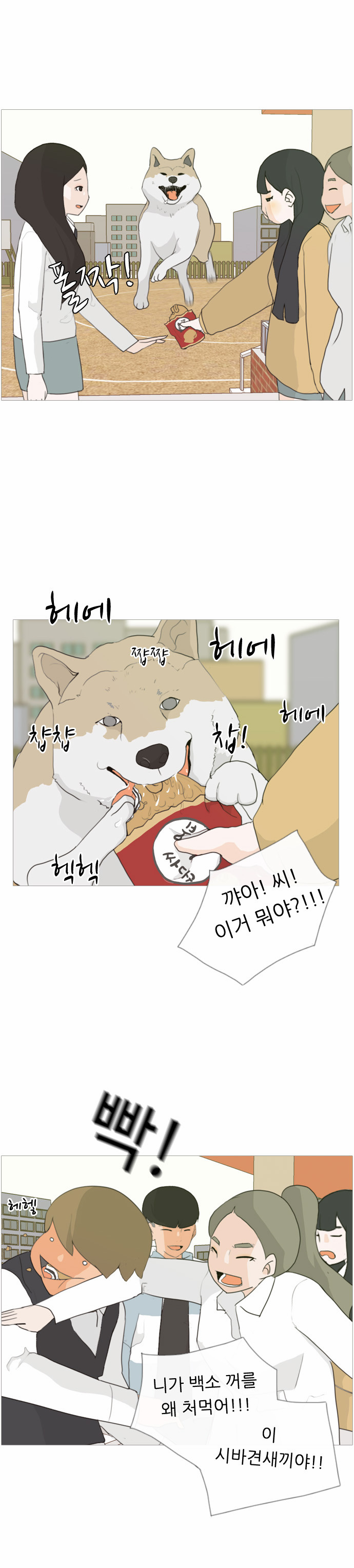 12 페이지