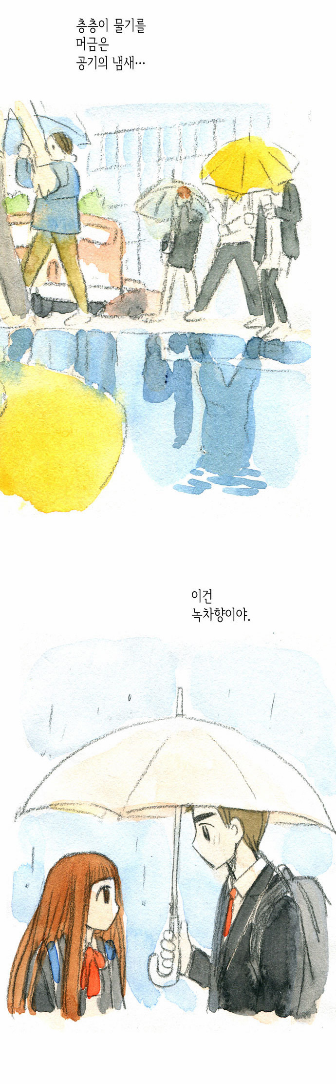 55 페이지