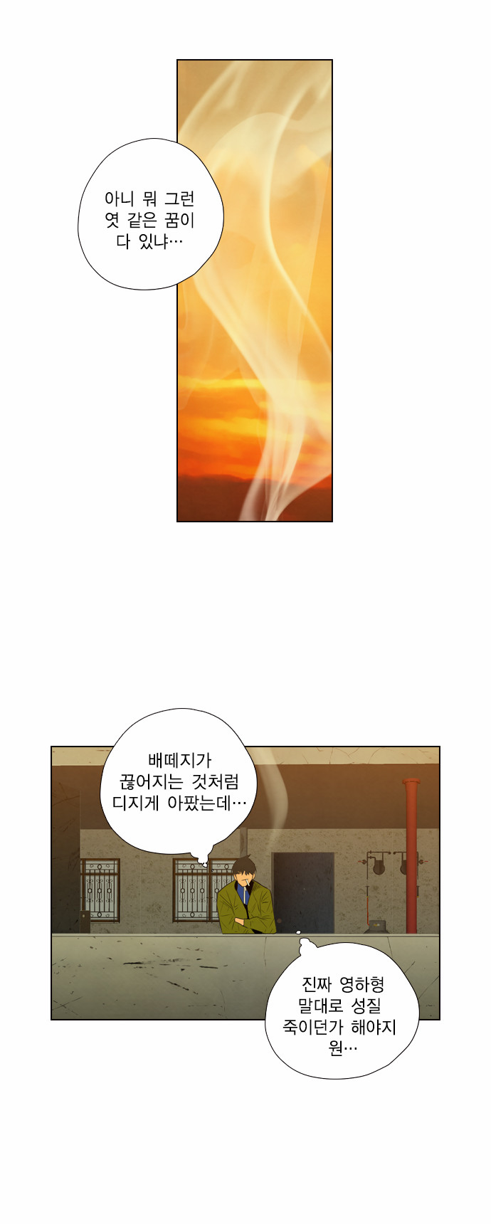 41 페이지