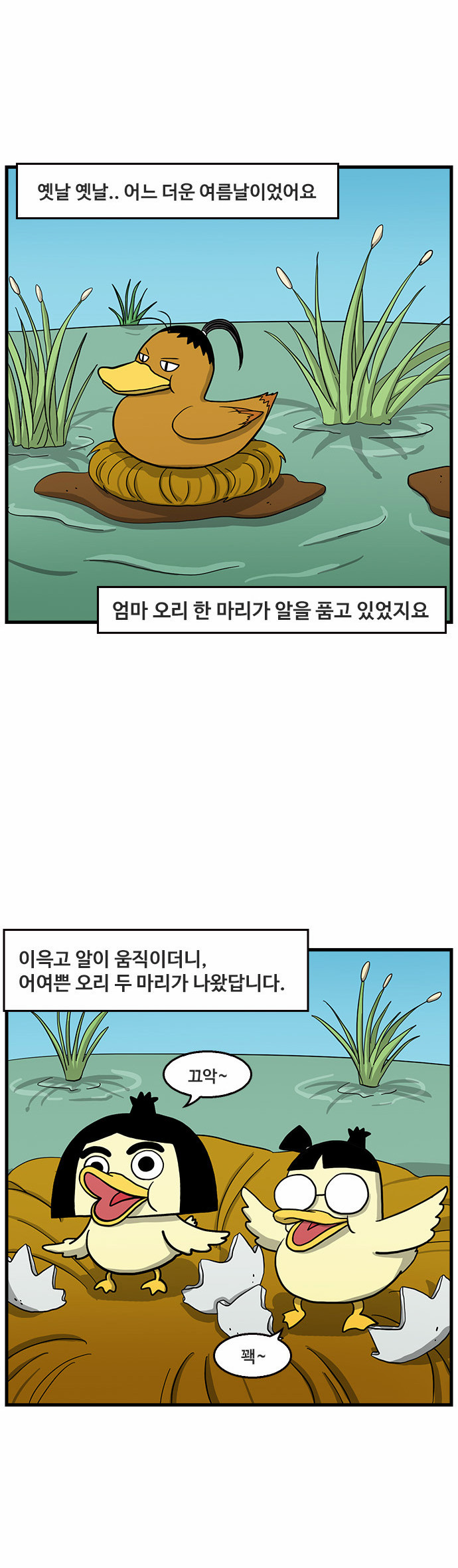 5 페이지