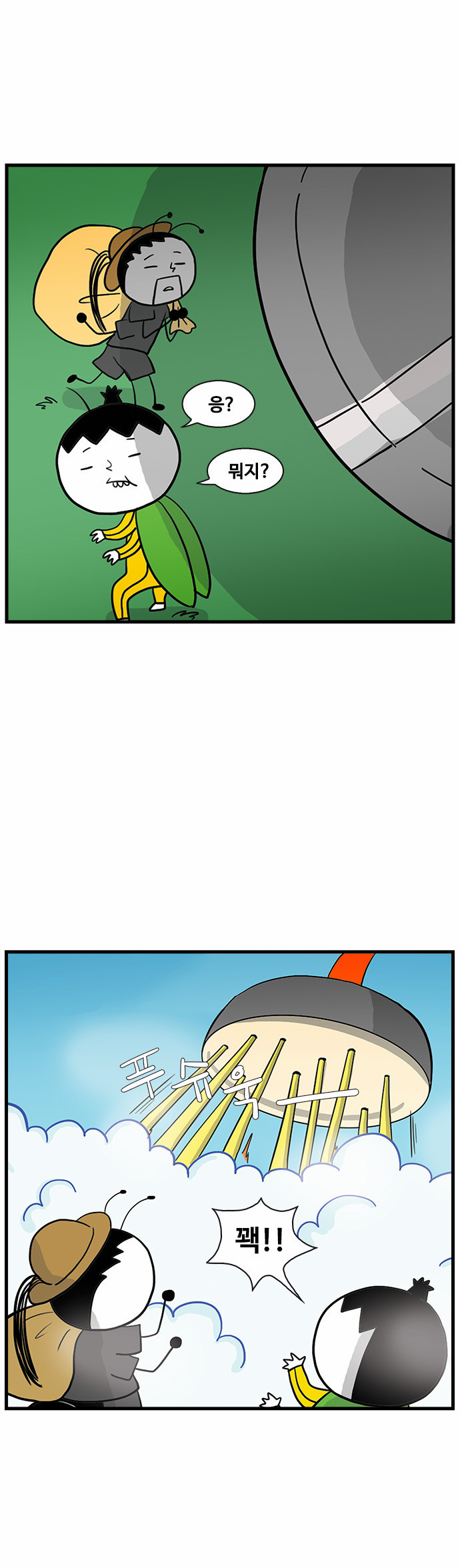 15 페이지