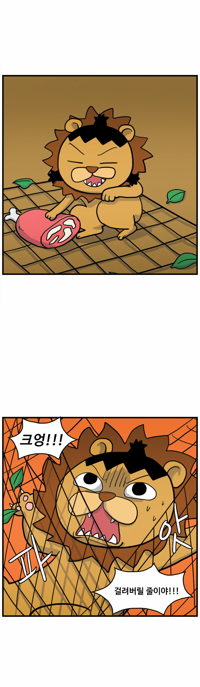 13 페이지