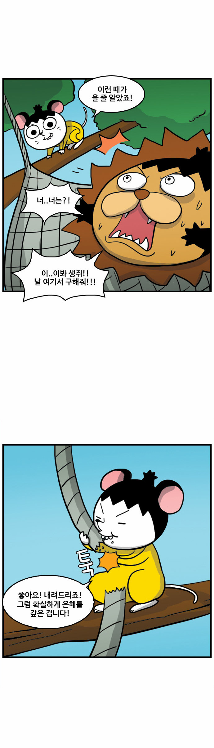 15 페이지