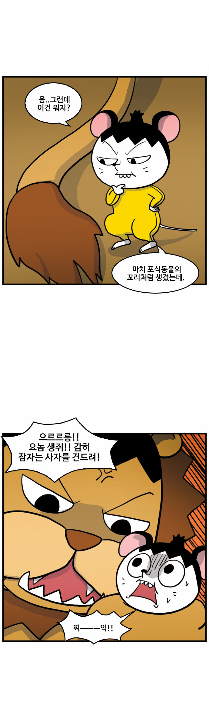 5 페이지