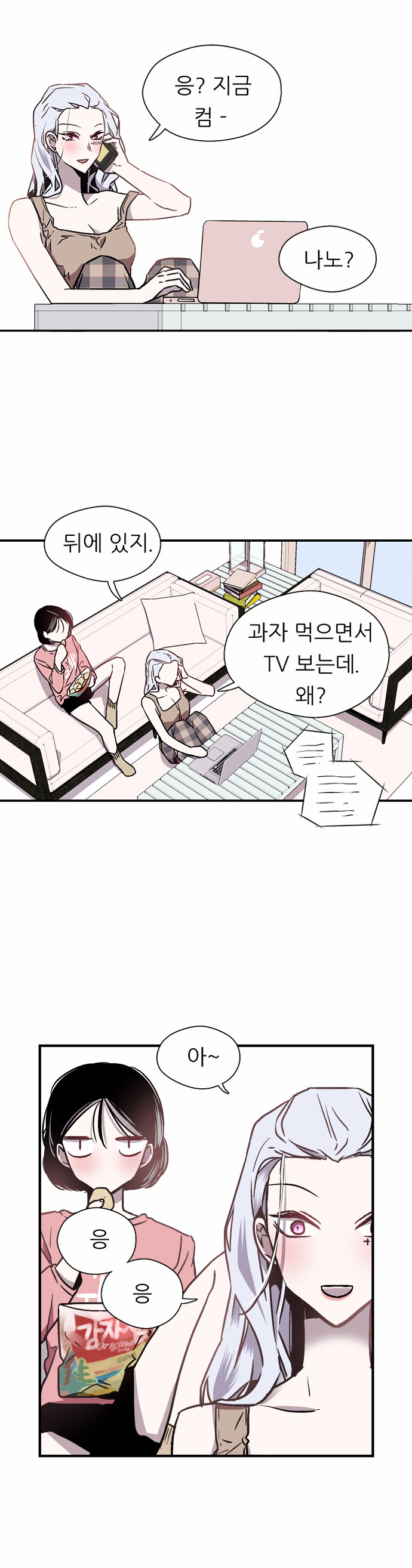15 페이지