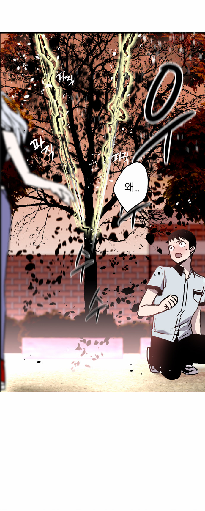 30 페이지