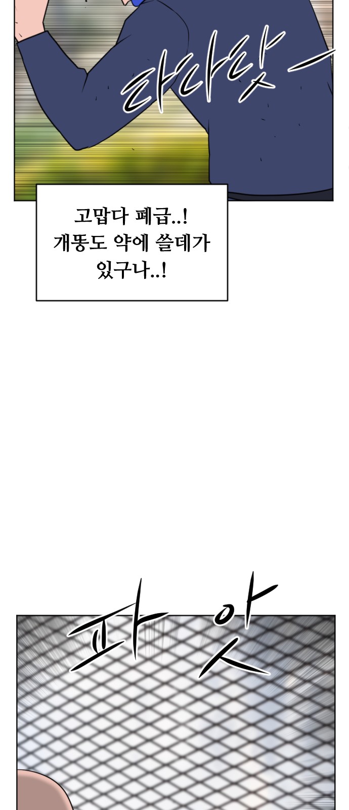 16 페이지