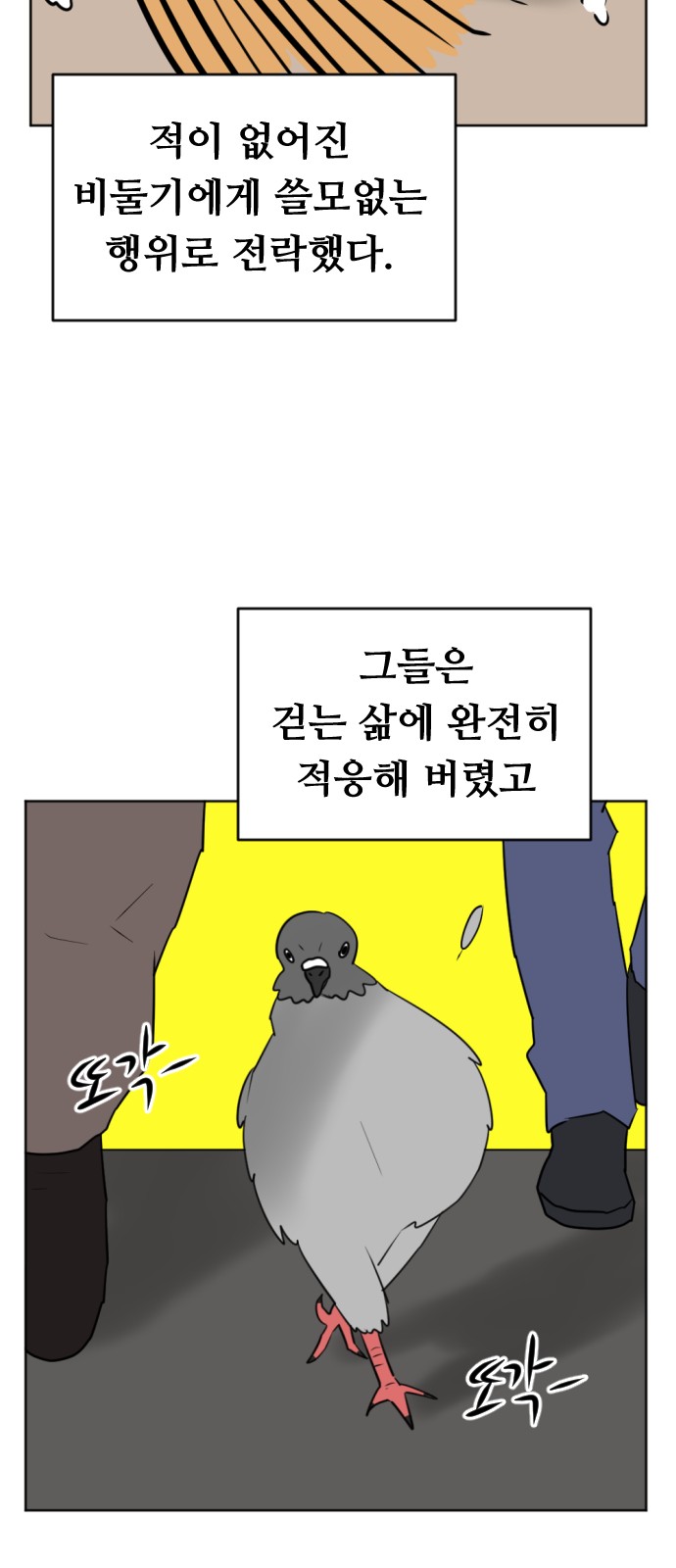 19 페이지