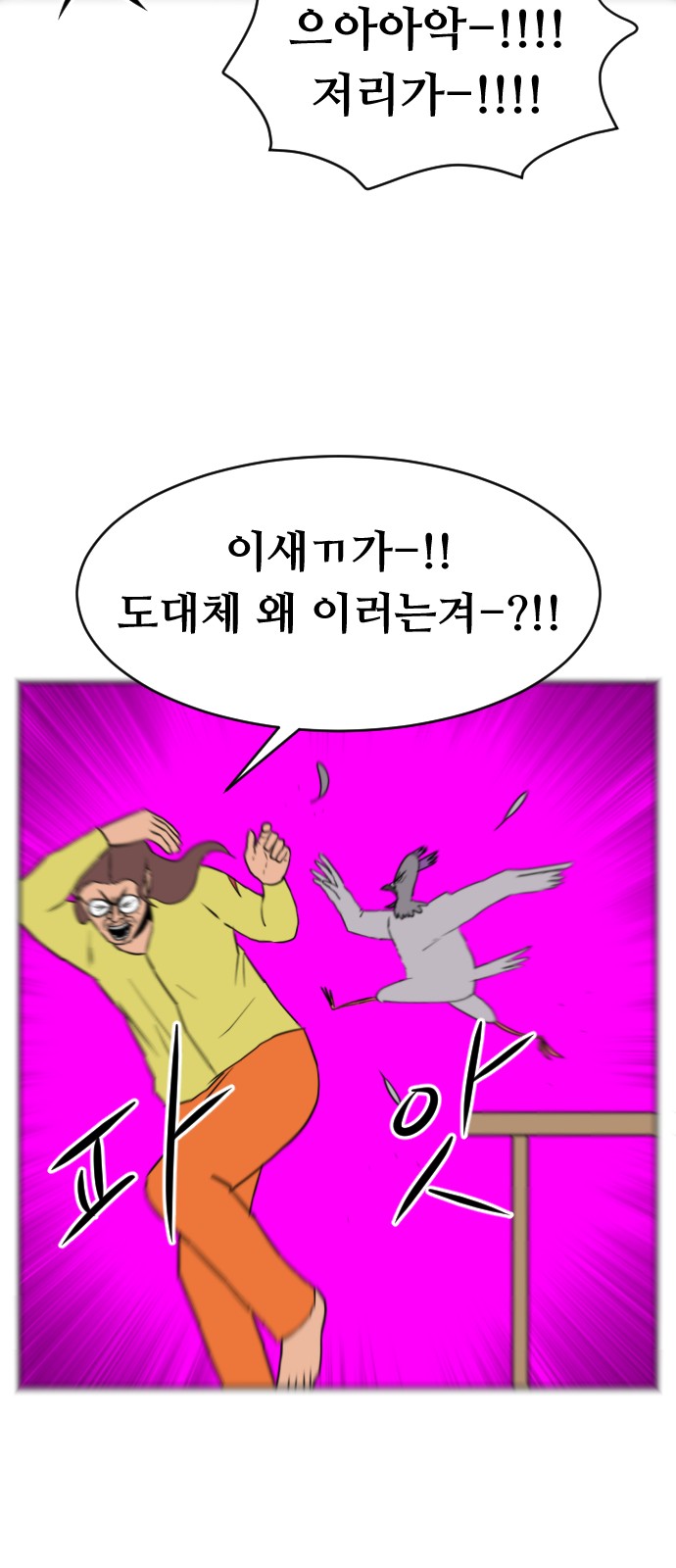 14 페이지