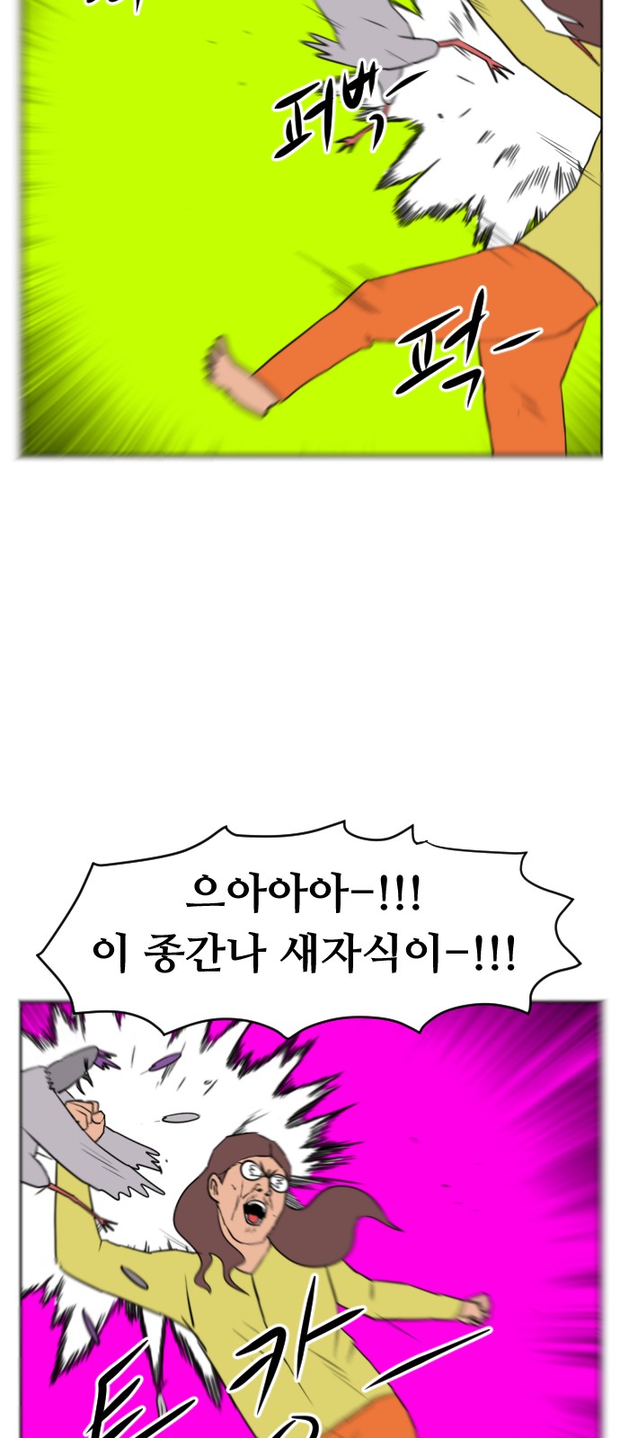 19 페이지