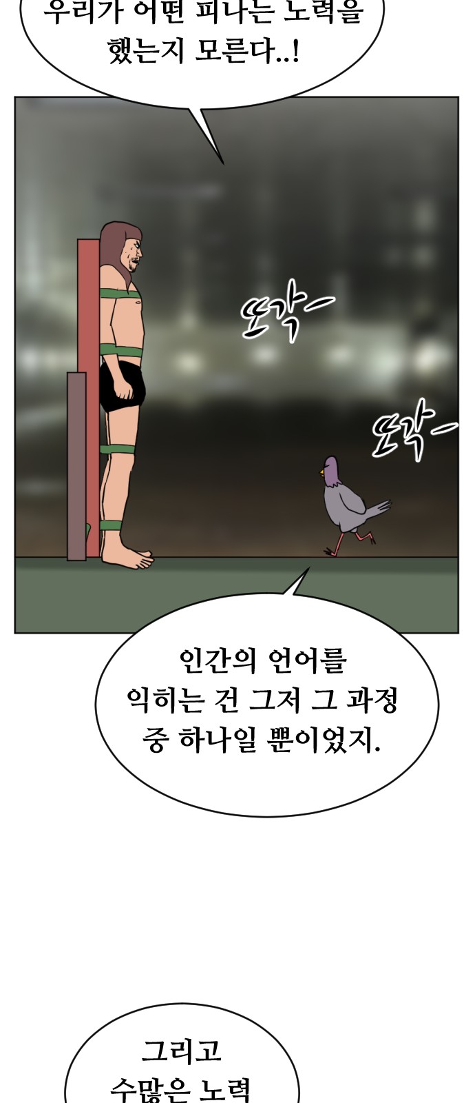 58 페이지