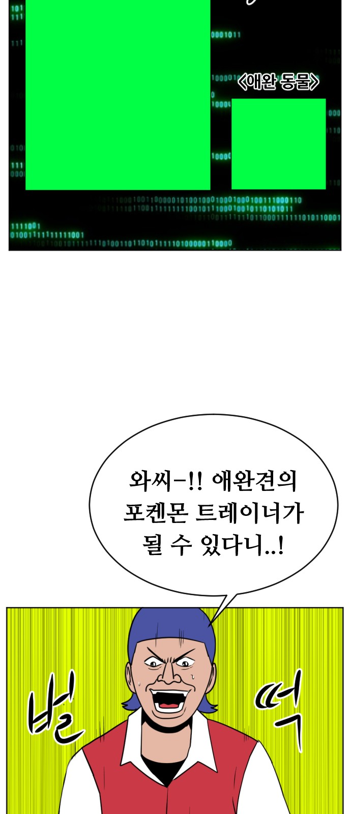 13 페이지