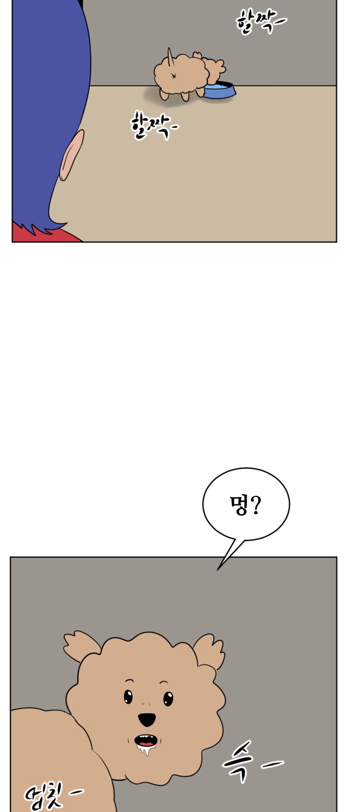 16 페이지