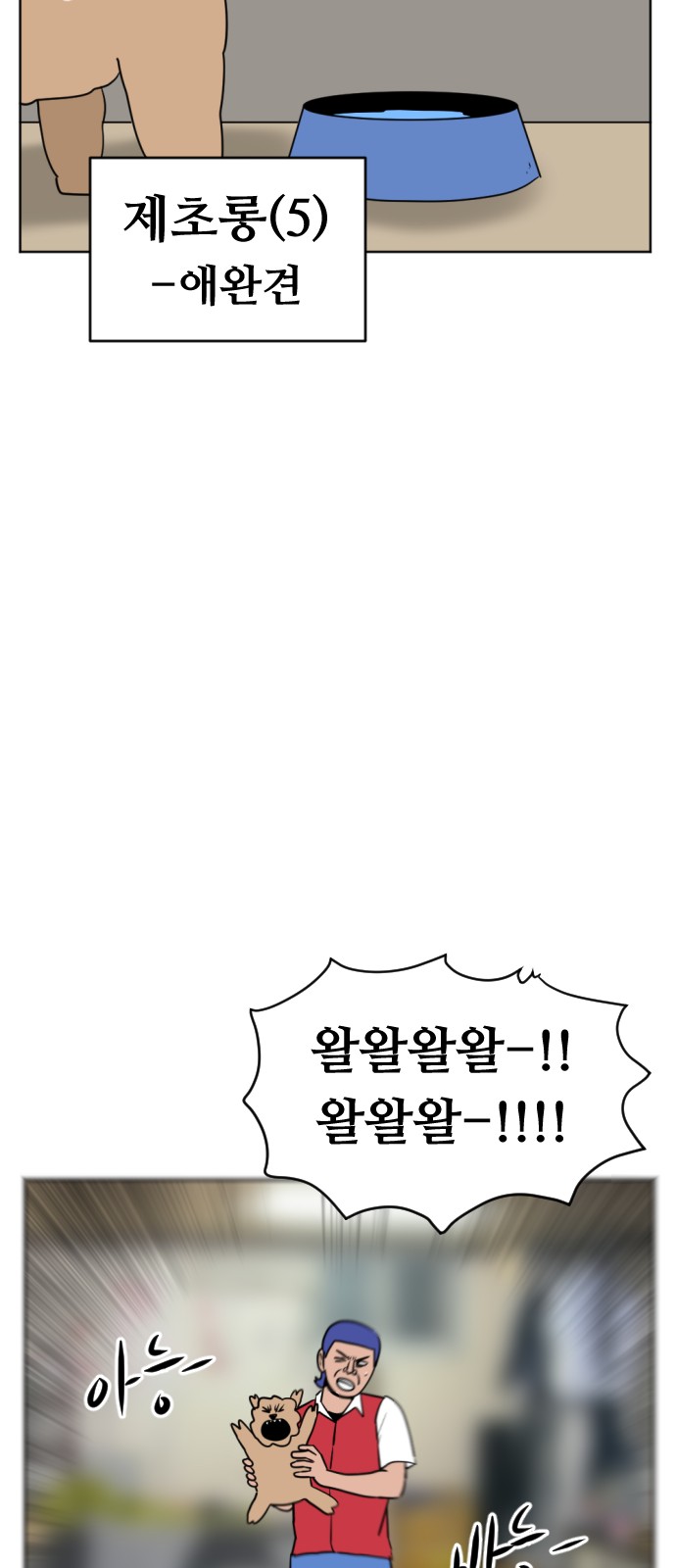 17 페이지