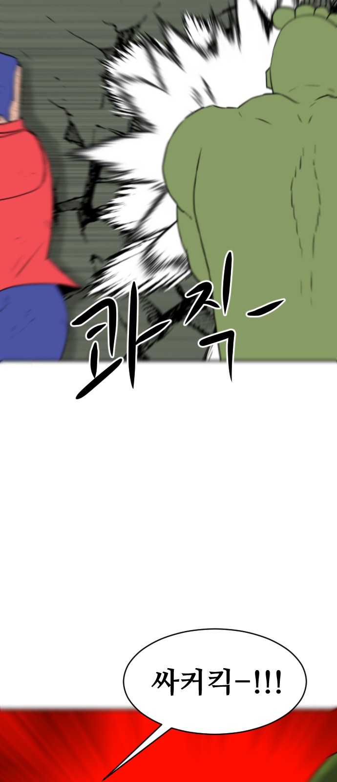 66 페이지