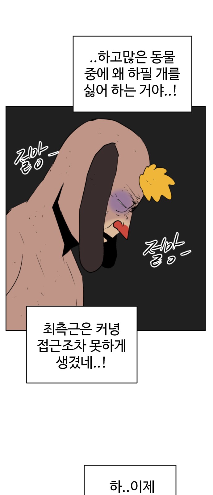 17 페이지