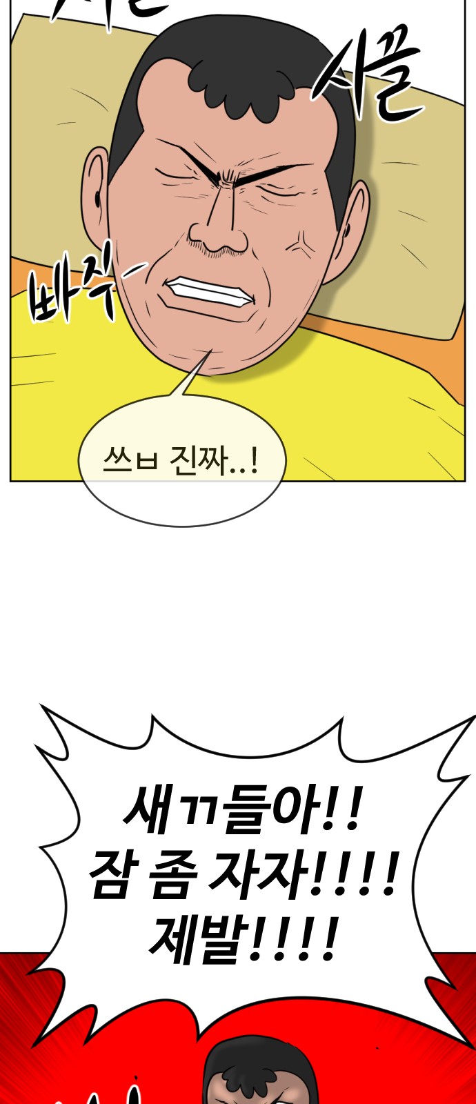 41 페이지