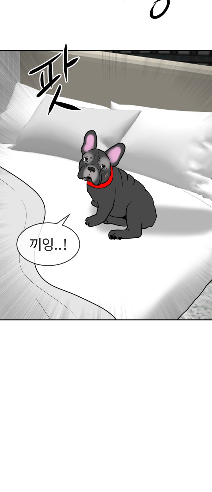 113 페이지