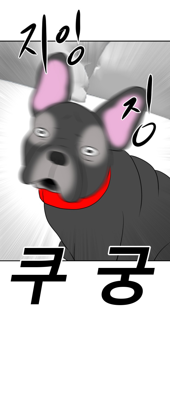 114 페이지