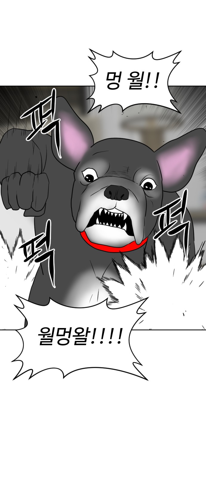 20 페이지