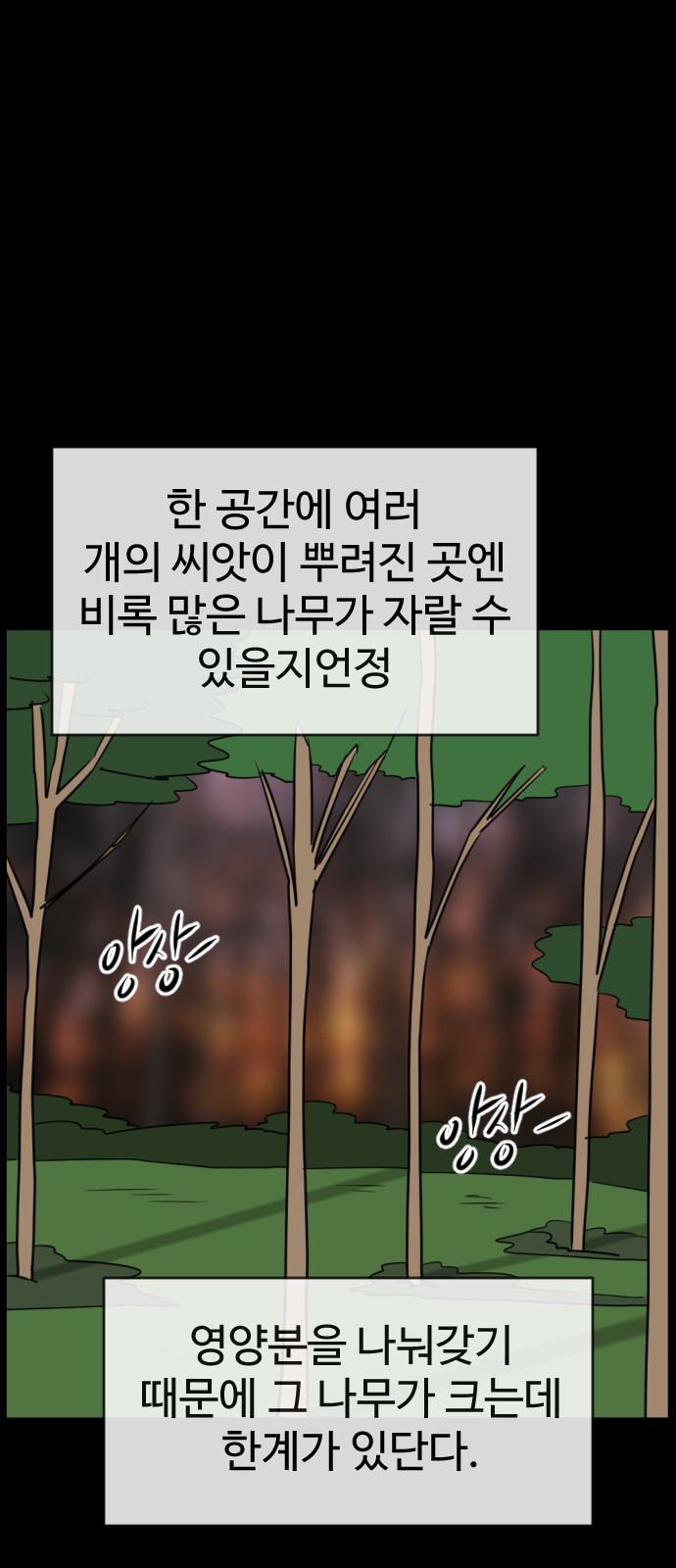 119 페이지