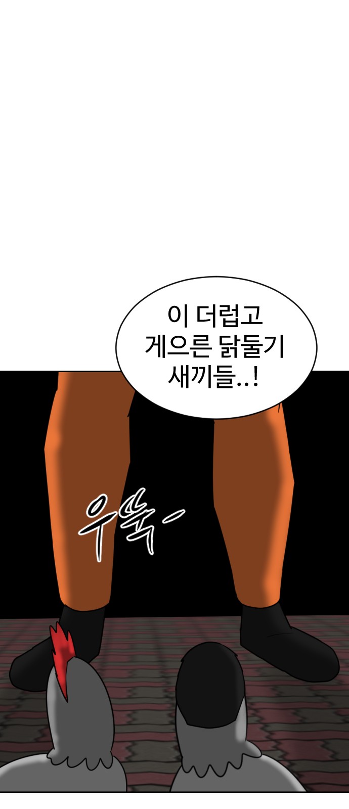113 페이지