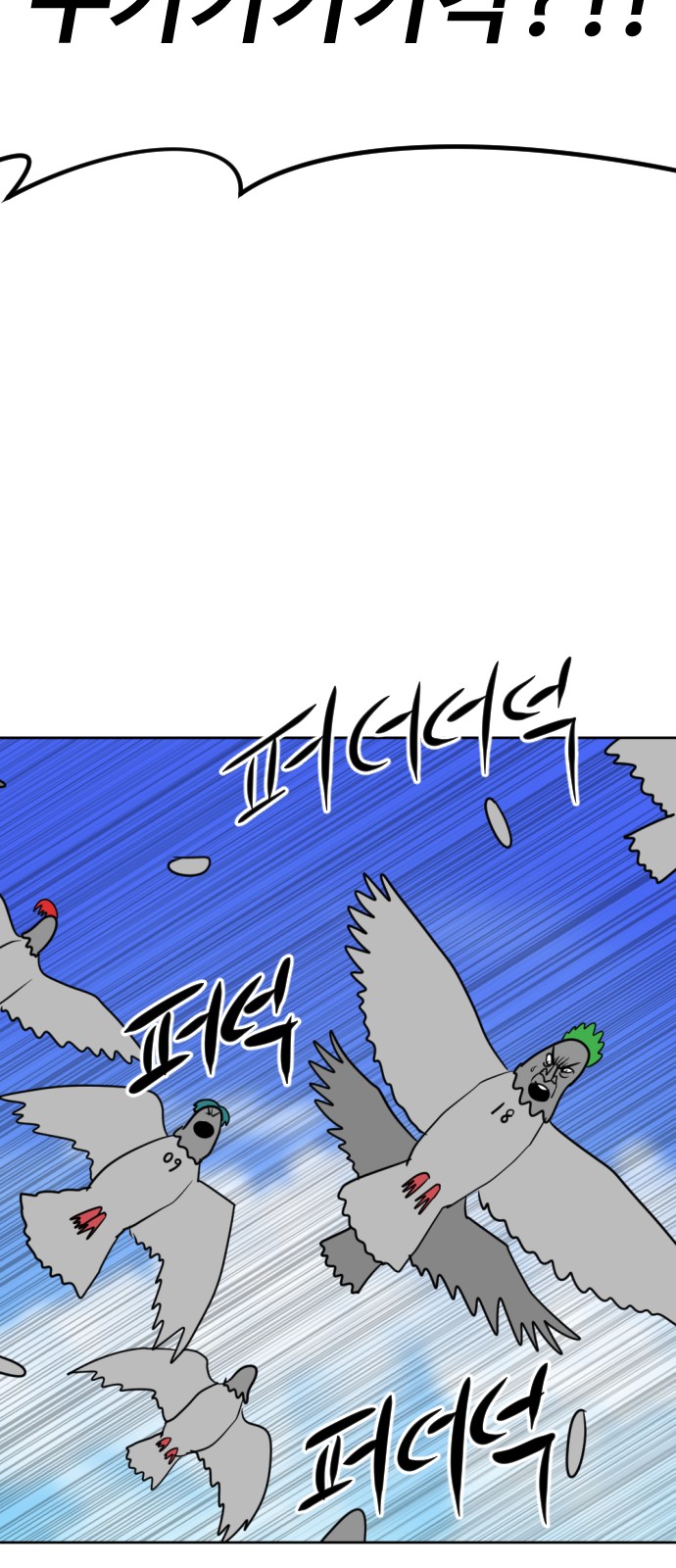 116 페이지