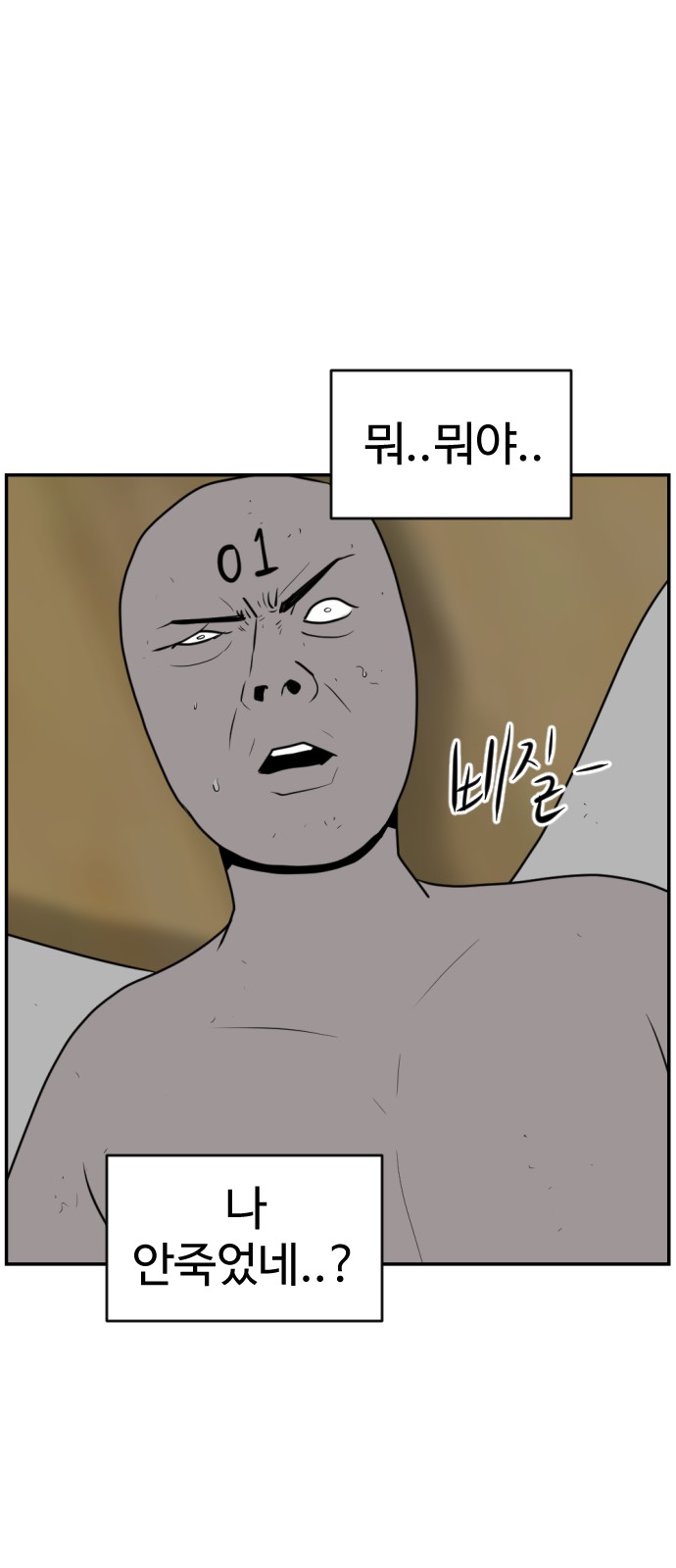 20 페이지