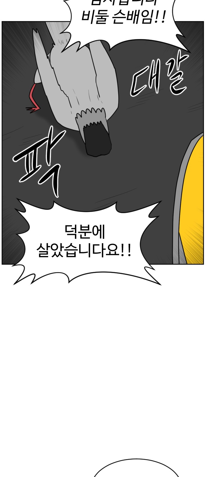66 페이지