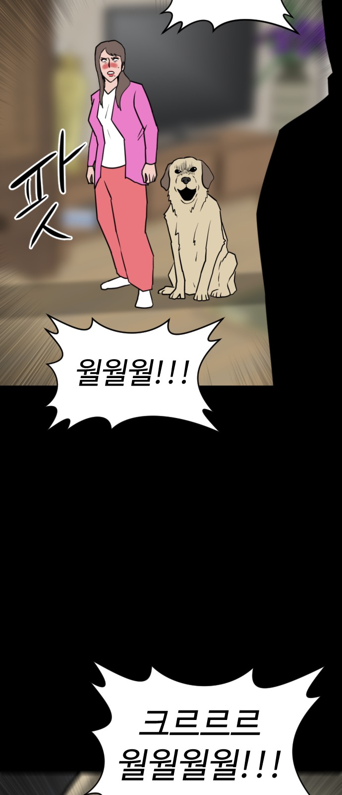 13 페이지