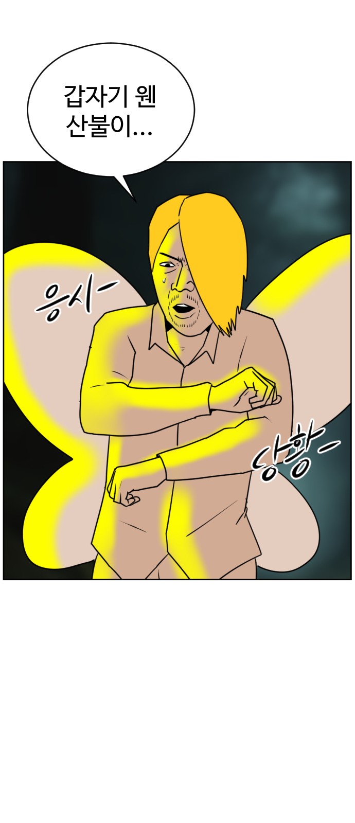 41 페이지