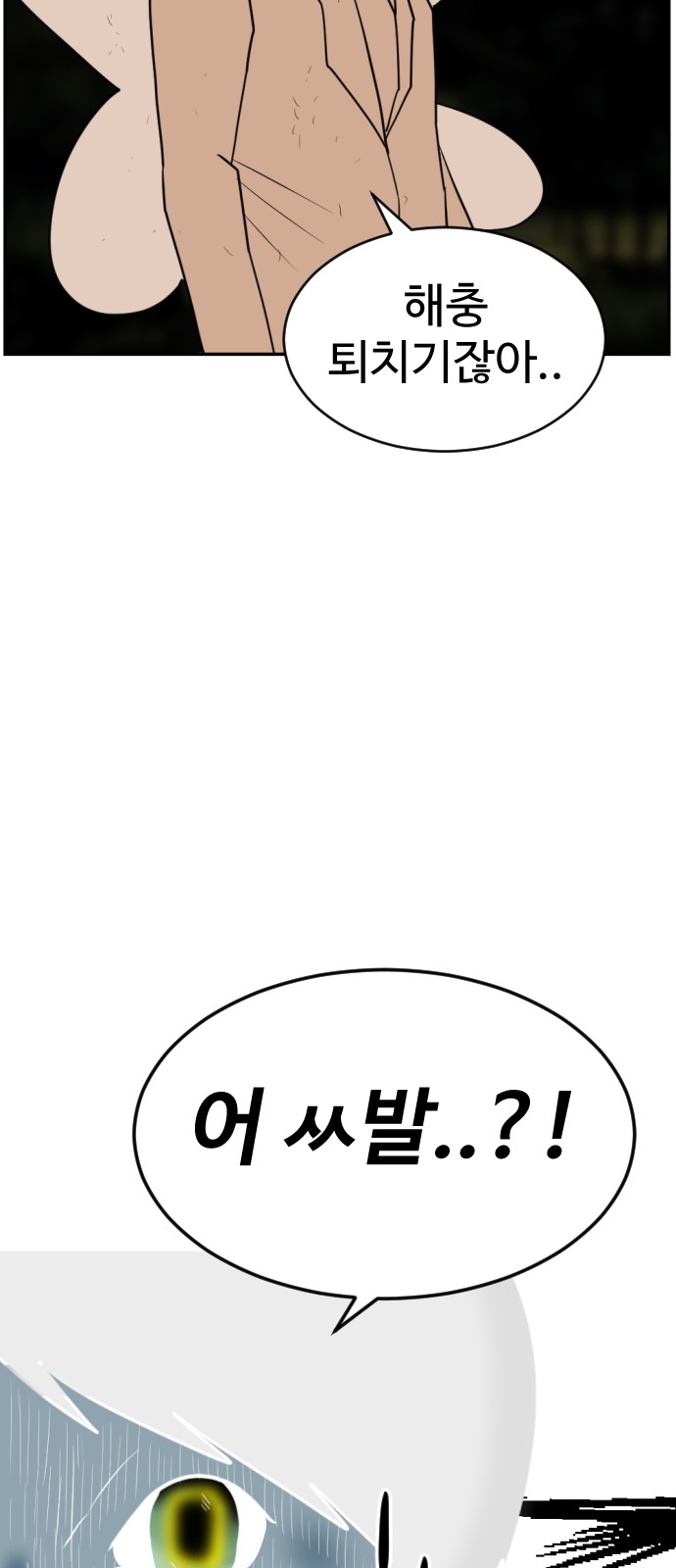 74 페이지