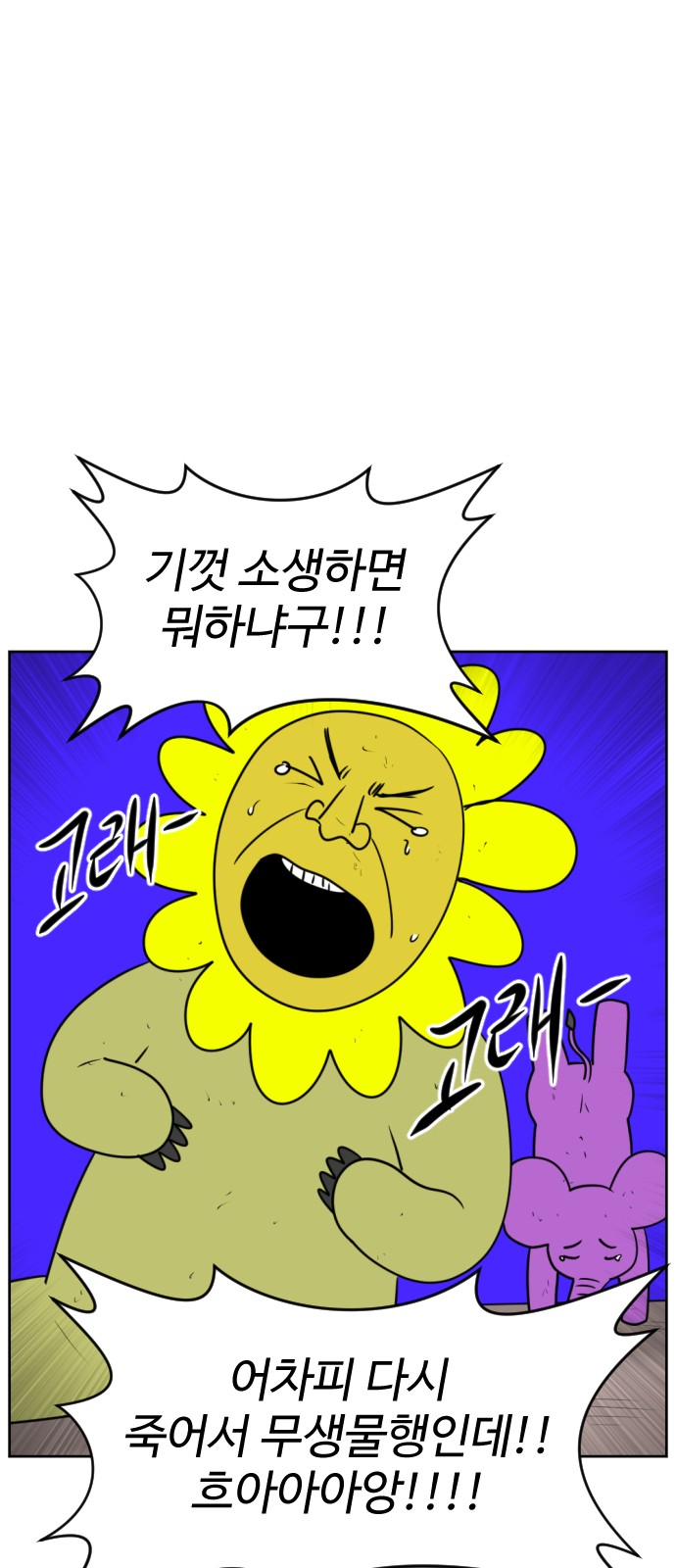 135 페이지
