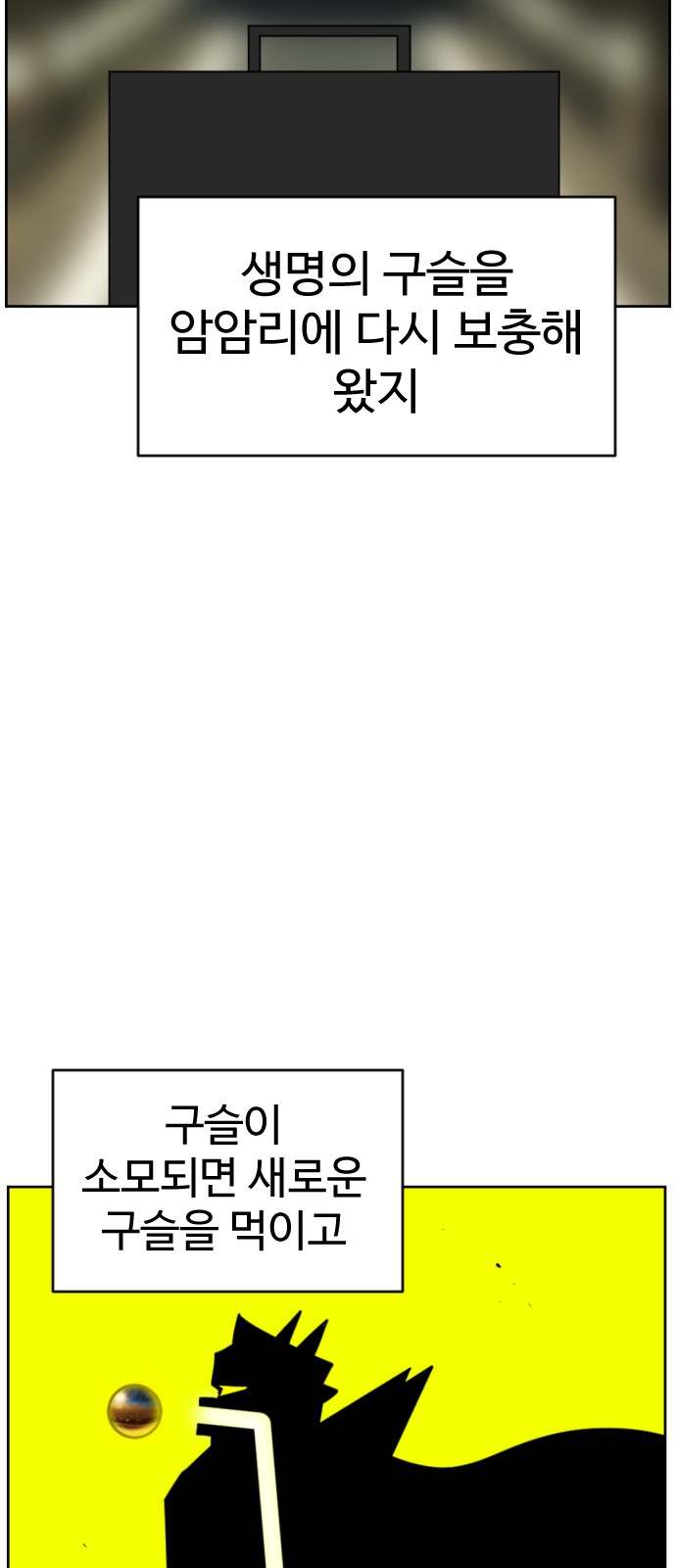 67 페이지