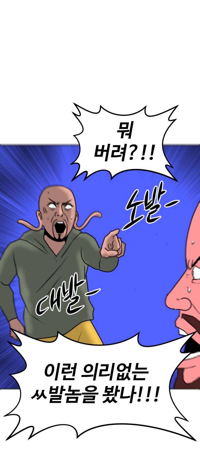 113 페이지