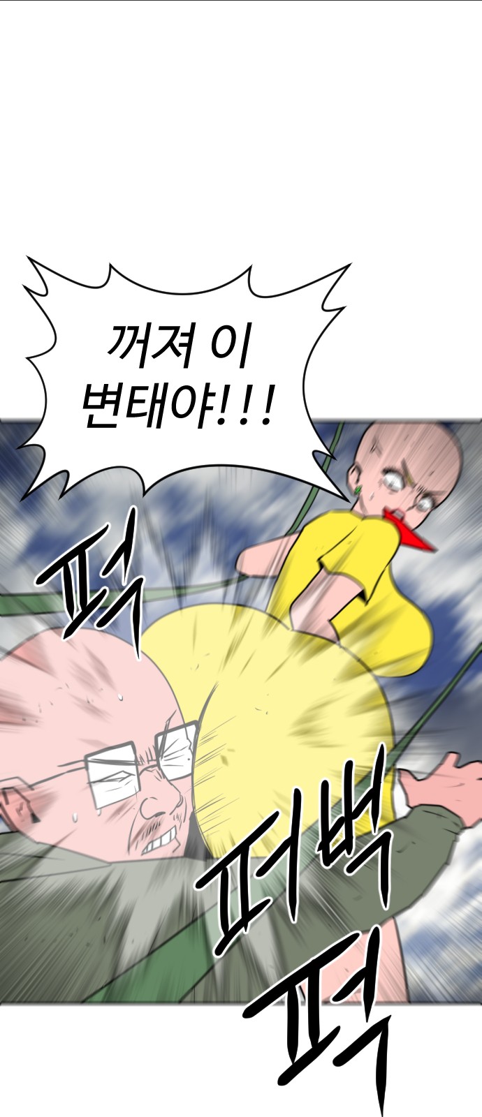 15 페이지