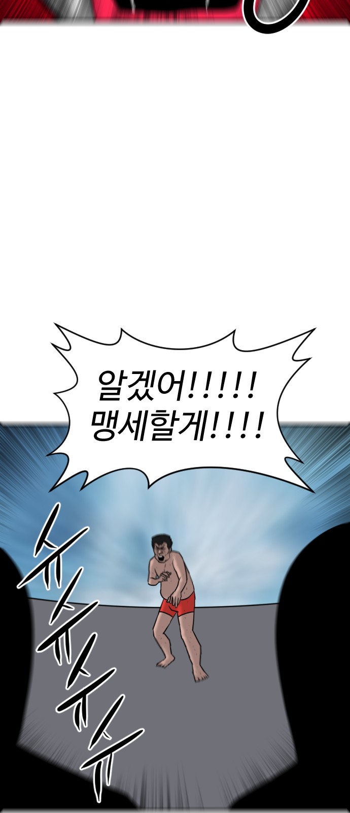 113 페이지