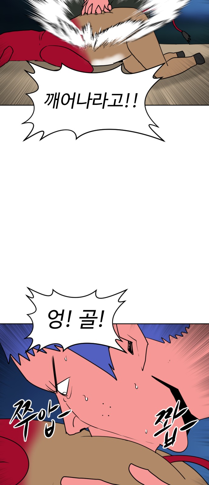 33 페이지