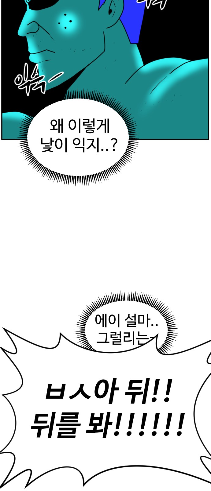 113 페이지