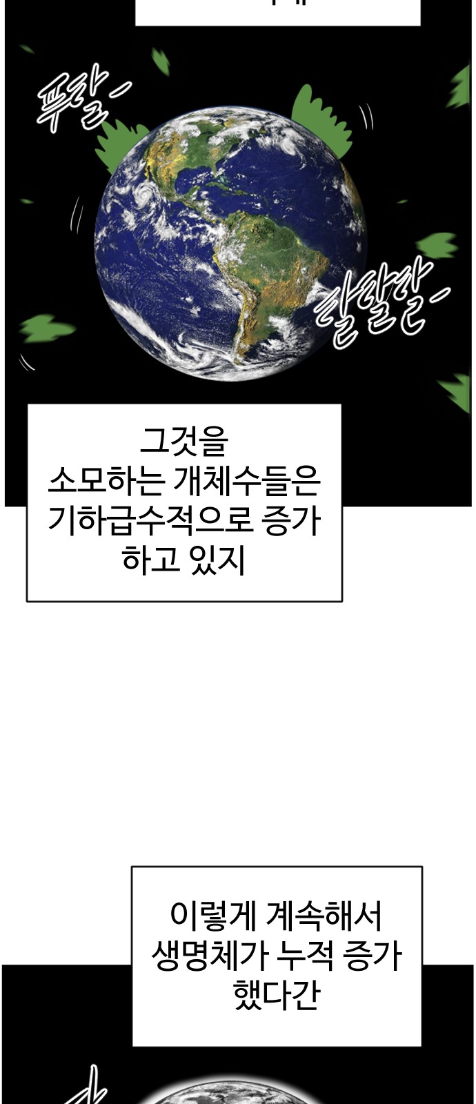 51 페이지