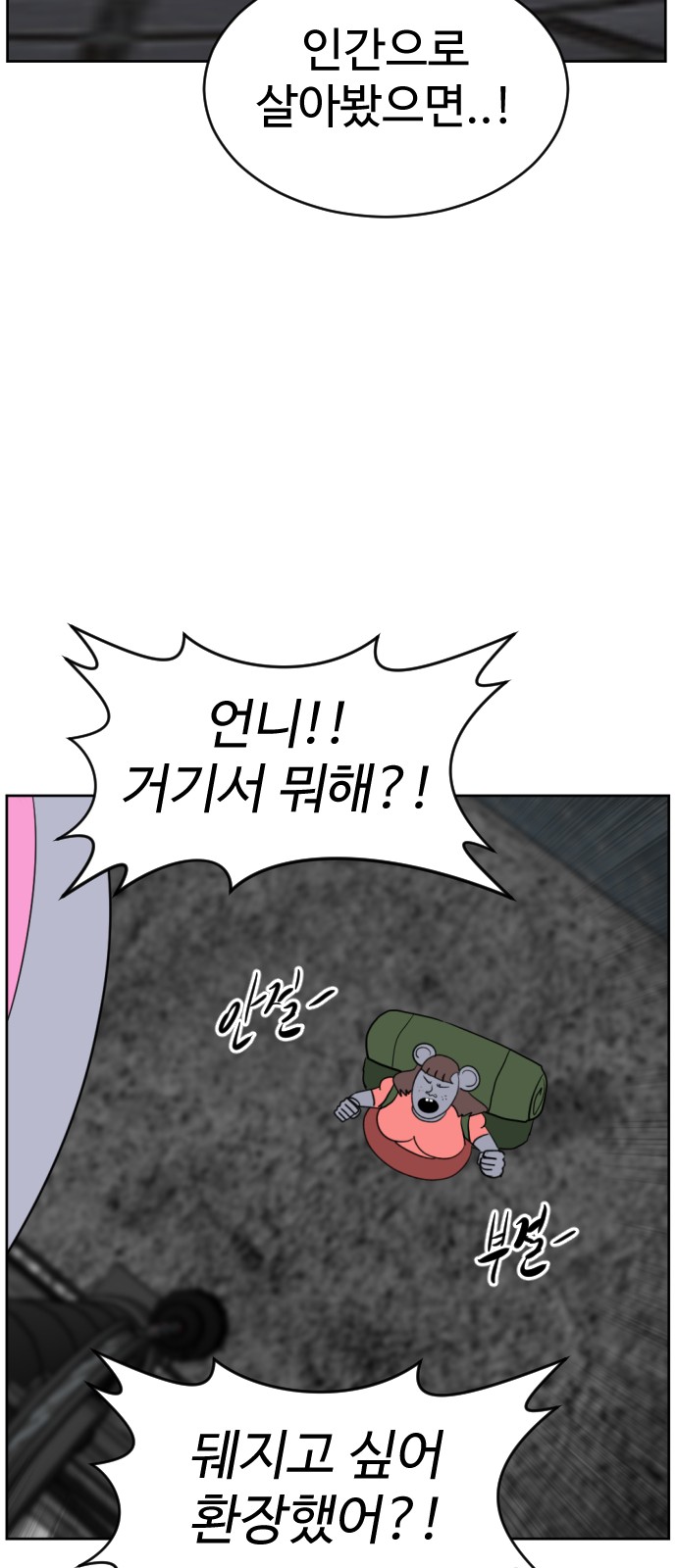 27 페이지