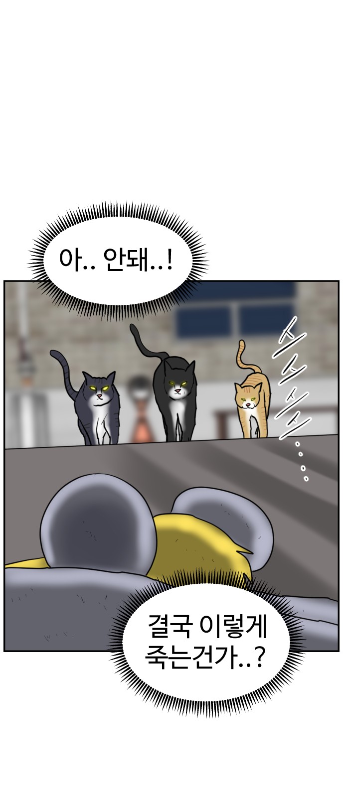 97 페이지