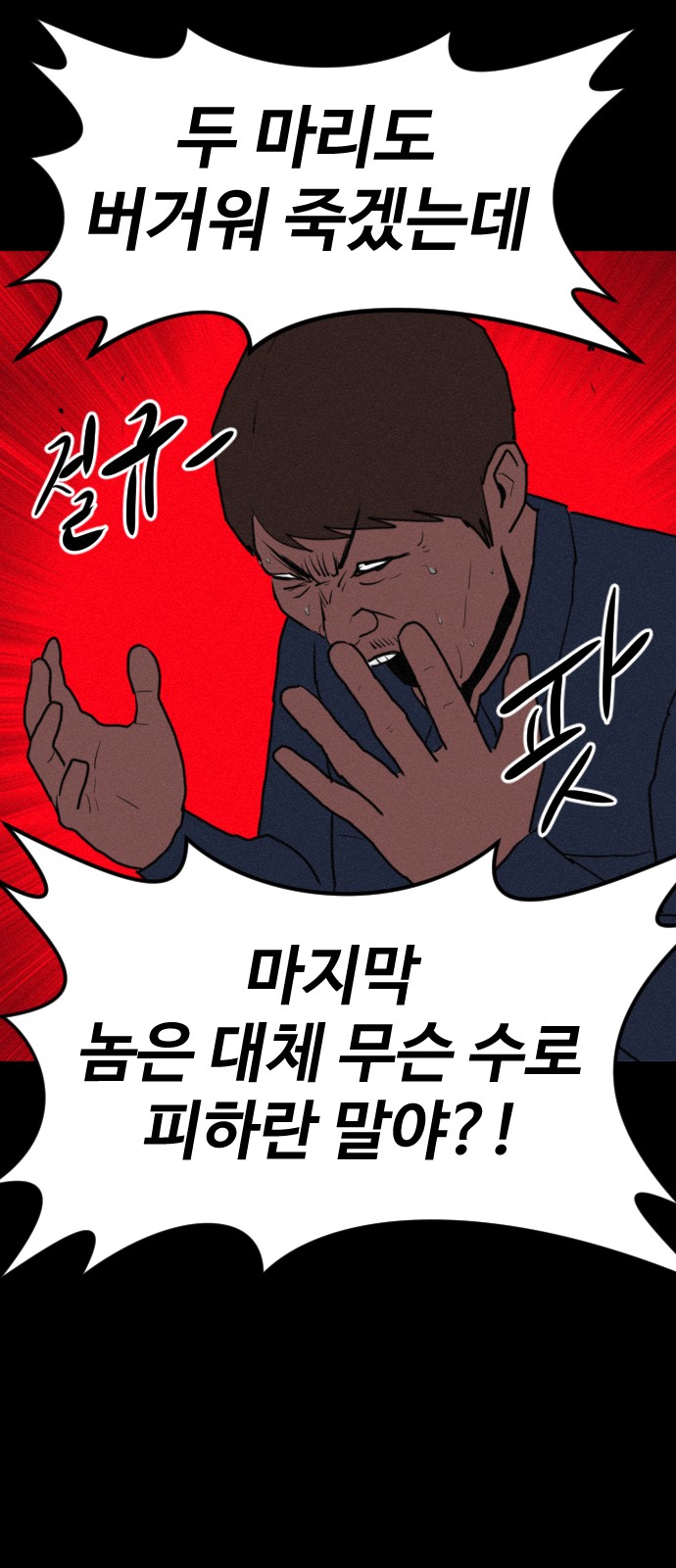 137 페이지