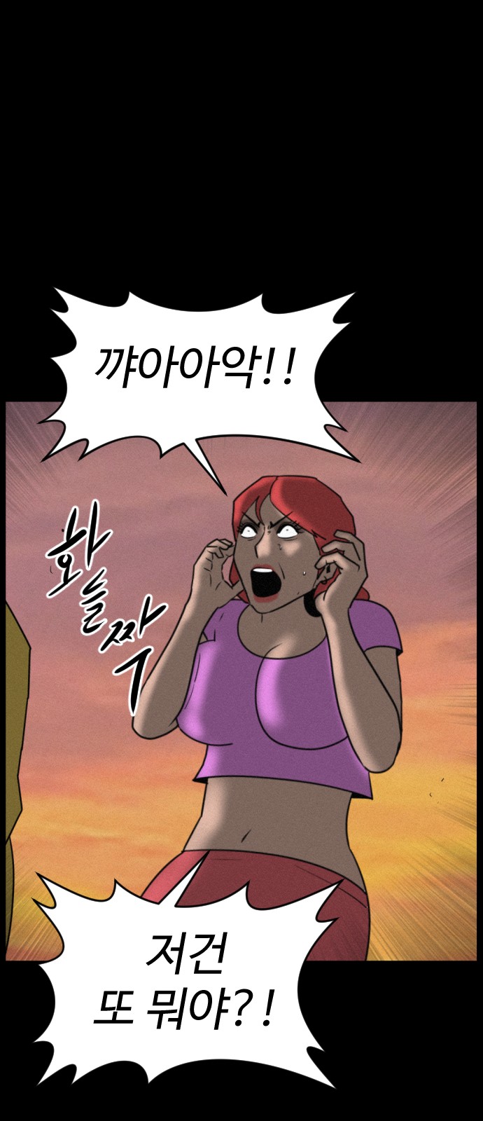 66 페이지
