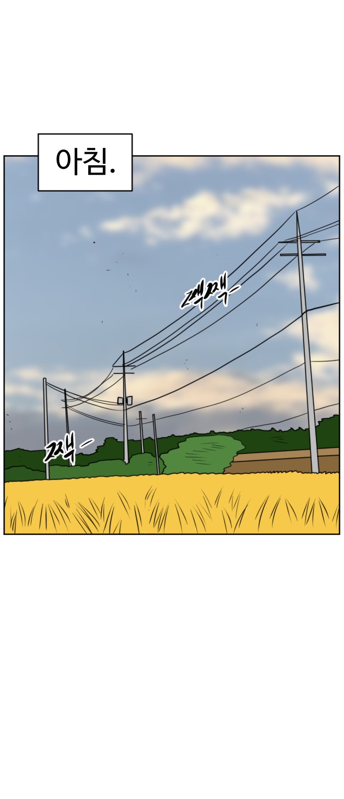 46 페이지