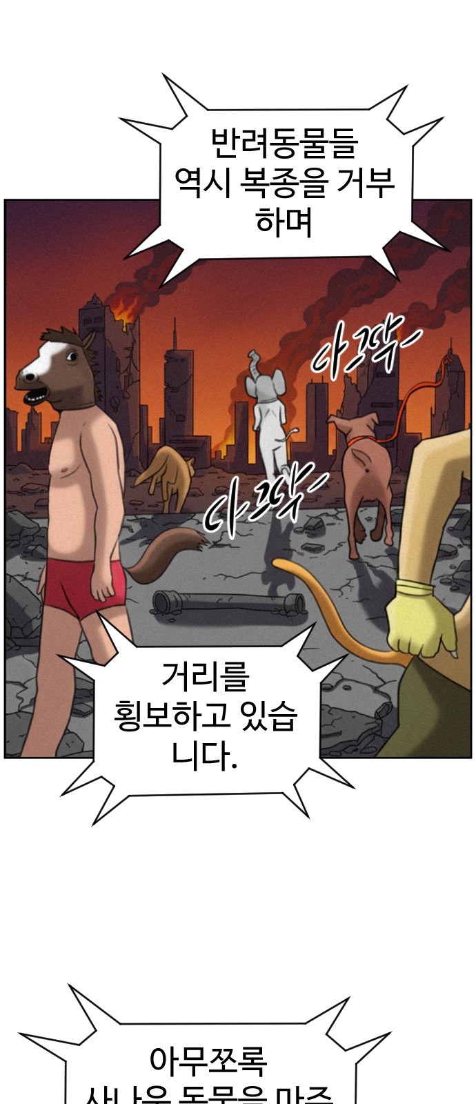 11 페이지