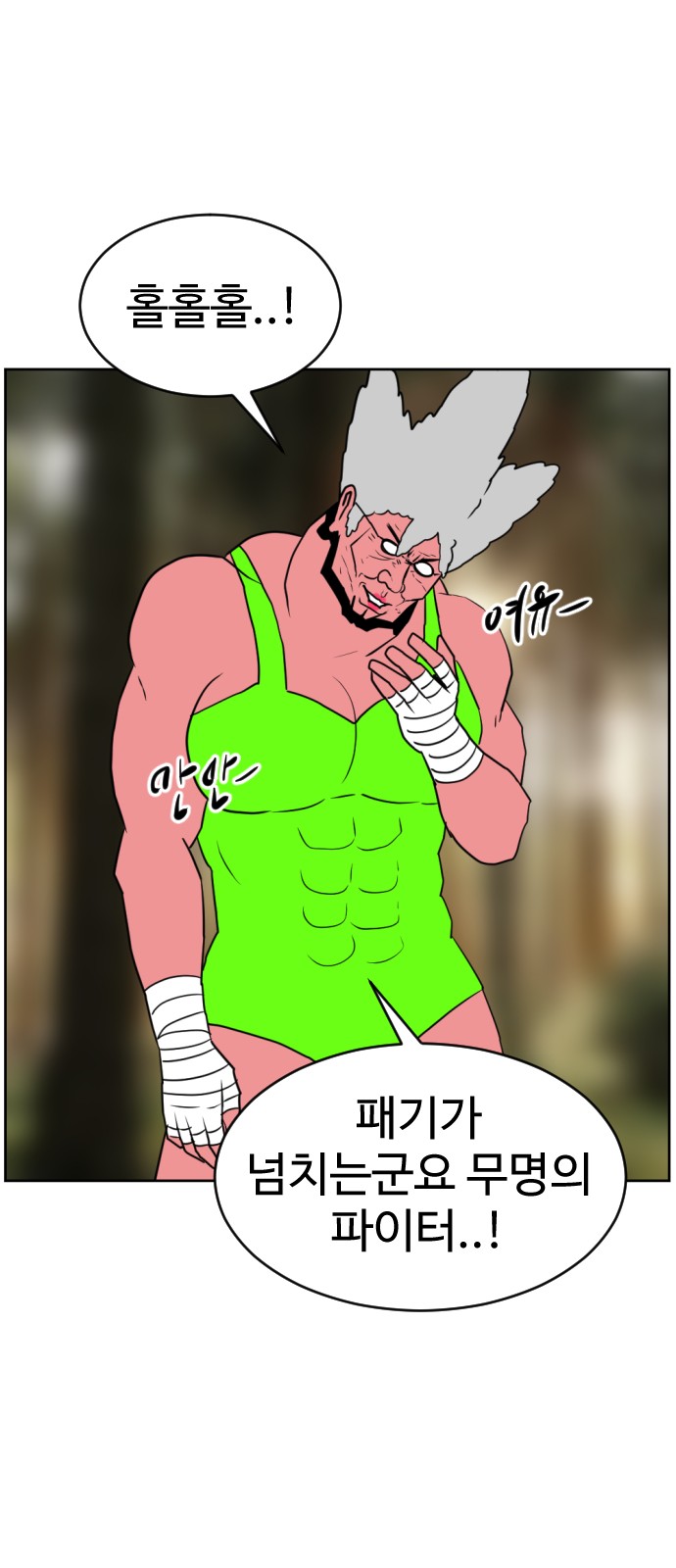17 페이지
